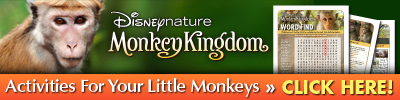 Download Monkey Kingdom Activities 