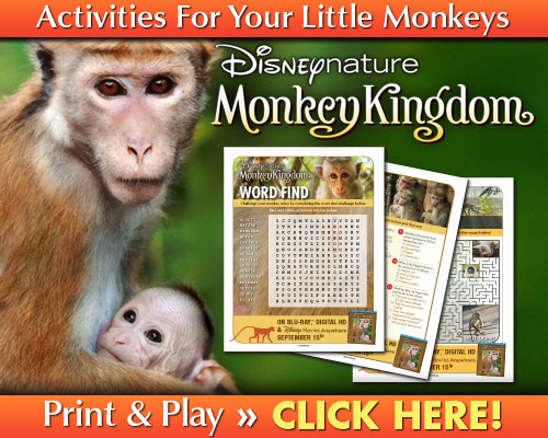 Download Monkey Kingdom Activities 