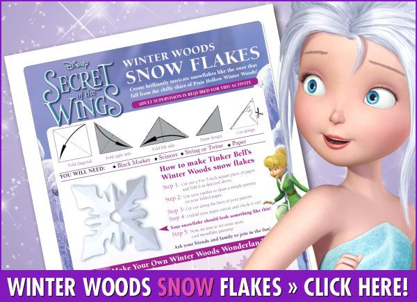 Download Secret of the Wings - Winter Woods Snow Flakes Activity!